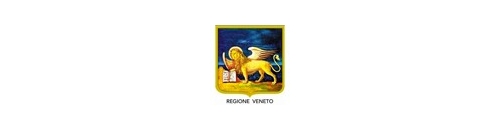 SUEM REGIONE VENETO